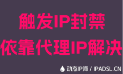 觸發(fā)IP封禁依靠代理IP解決